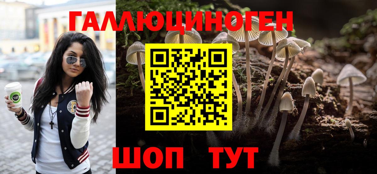 Псилоцибиновые грибы Psilocybe Королёв
