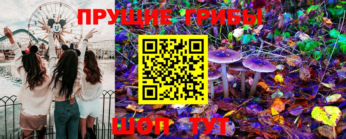 Галлюциногенные грибы Psilocybe  Вход с VPN  Королёв 